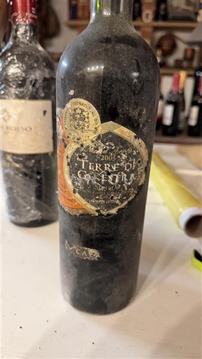 Apulia Wines Salice Salentino Masseria Maime Terre di Gestra 2003