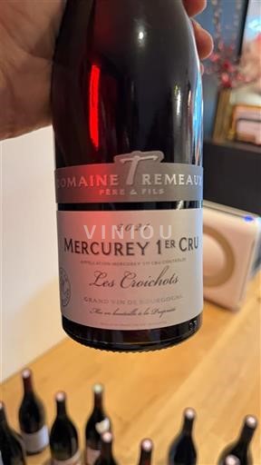 Burgundy Mercurey Premier Cru Domaine Tremeaux Les Croichots 2021