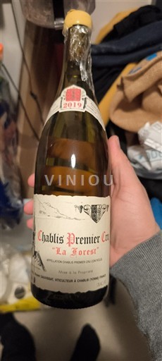 Burgundi Chablis Premier Cru Vincent Dauvissat La Forest 2019
