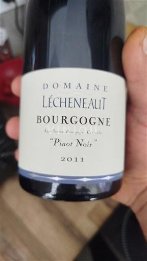 Bourgogne Domaine Lécheneaut Pinot Noir 2011