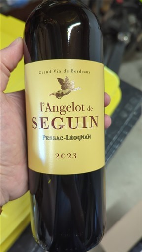 Bordeaux Pessac-Léognan Seguin l'Angelot de Seguin 2023