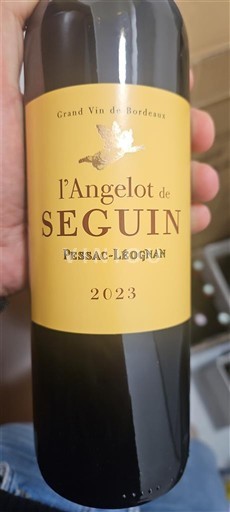Bordeaux Pessac-Léognan Seguin l'Angelot de Seguin 2023