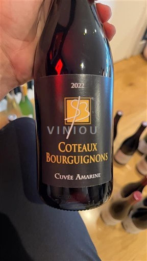Bourgogne Coteaux bourguignons Cuvée Amarine 2022