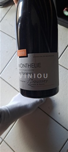 Borgonha Monthélie Domaine Boussey Les Toisières 2020