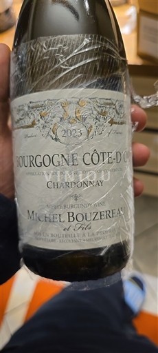 Viner Blanc sec Michel Bouzereau et Fils 2023 Frankrike Bourgogne Bourgogne Côte d'Or AOC