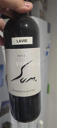 Puglia Không được chỉ định Lavie Sum 2011