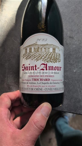 Beaujolais Saint-Amour Domaine Des Pierres Élevé en fût de chêne - Vieilles Vignes 2023