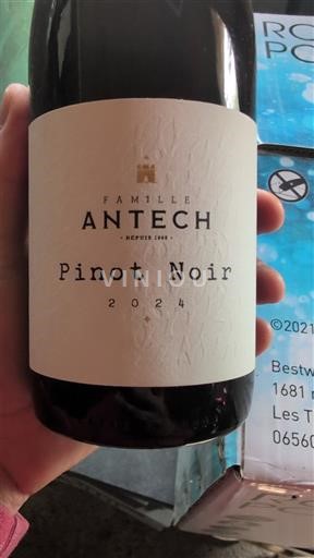 Languedoc và Roussillon Vùng đất Oc Famille Antech Pinot Noir 2024
