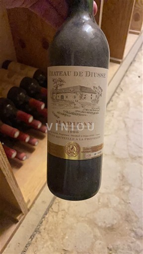 Jugperëndim Madiran Château Diusse 1996