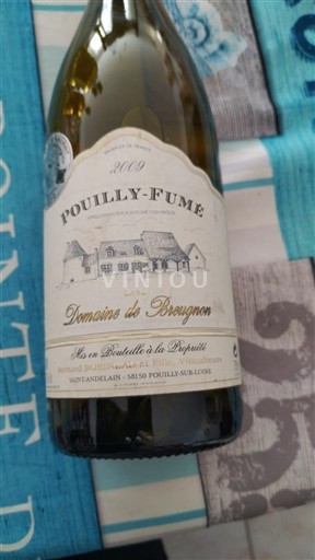 Loiredalen Pouilly-fumé Domaine Bourgnoin 2009
