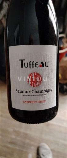 Valle della Loira Saumur-Champigny Tuffeau 2023