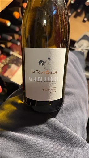 Valle della Loira Muscadet Sèvre et Maine La Tour Gallus 2023