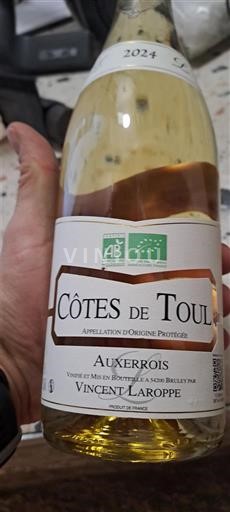 Lorraine Côtes-de-toul Vincent Laroppe Auxerrois 2024
