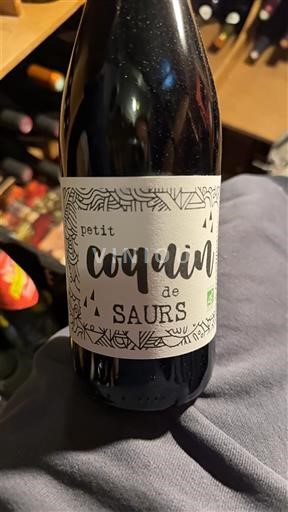Sudoeste Côtes del Tarn Château Saurs Petit Coquin de Saurs 2024