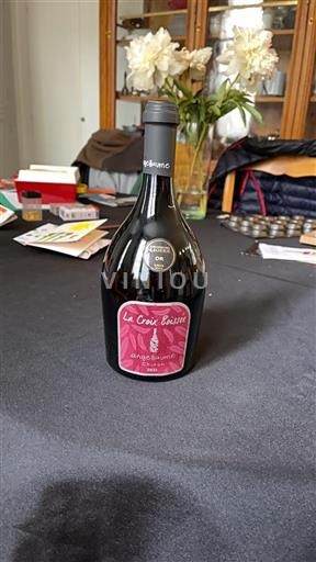 Loire-dalen Chinon Angelliaume La Croix Boissée 2021