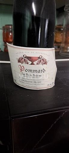 Burgundi Pommard Domaine Mussy Les Petits Noizons Ei vuosikertaa