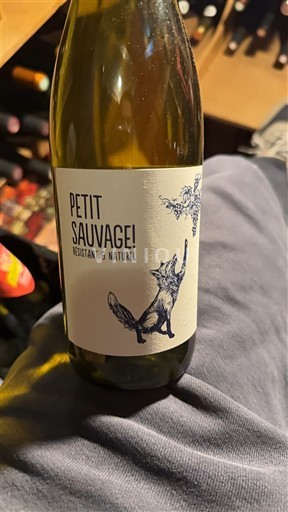 Languedoc Pierre & Antonin Petit Sauvage! 2024