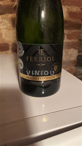 Catalonia Cava Te Ferriol Brut Selección 2018