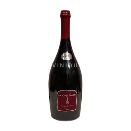 Loire-dalen Chinon Angelliaume La Croix Boissée 2021