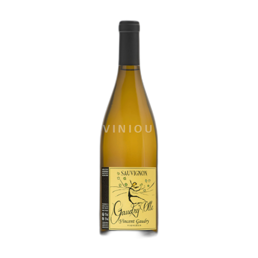Dolina Loare Domaine Vincent Gaudry Gaudry'Olle 2022