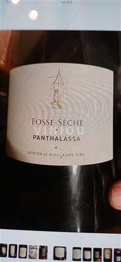 Valle del Loira Saumur Domaine Fosse-Sèche Panthalassa 2020