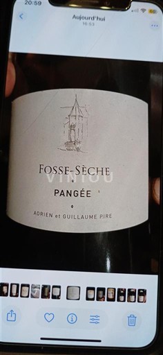 Valle del Loira Saumur Domaine Fosse-Sèche Pangée 2020