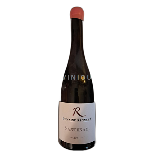Bourgogne Santenay Domaine Regnard 2021