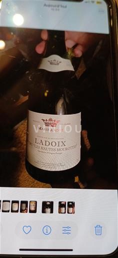 Bourgogne Ladoix Marie André Les Hautes Mourottes 2021