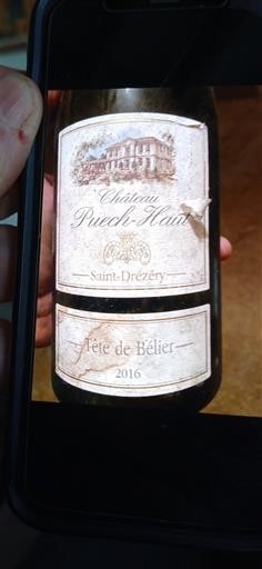 Langvedok Ni doloceno Puech-Haut Tête de Bélier 2016