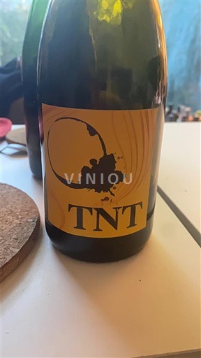 Valle della Loira Non specificato Domaine Raimbault-Pineau TNT Senza annata