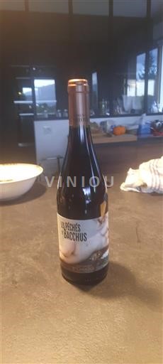 Languedoc in Roussillon Pays d'Oc Les Pêchés de Bacchus 2023