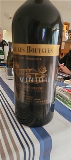 Bordeaux Bordeaux Supérieur Château Les Bouygues Không niên vụ