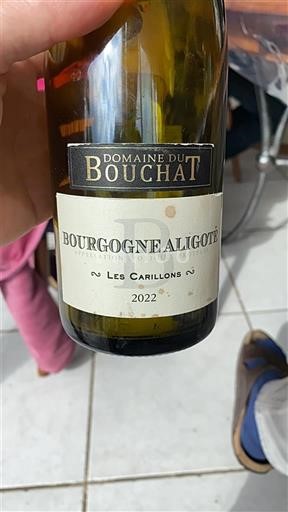 Borgoña Borgoña-Aligoté Domaine du Bouchat Les Carillons 2022