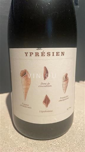 Champaña Champán Yprésien Sin añada