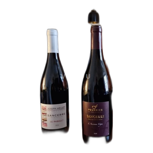 Loire-dalen Sancerre Fournier Père et Fils L'Ancienne Vigne 2020