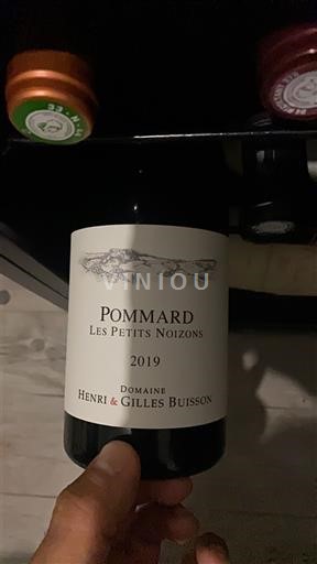 Bourgogne Pommard Domaine Henri & Gilles Buisson Les Petits Noizons 2019