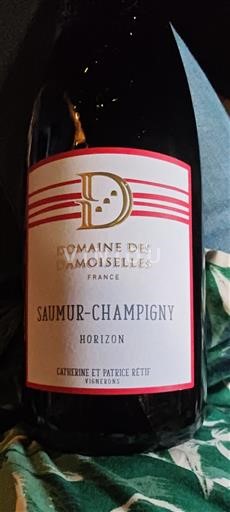 Thung lũng sông Loire Saumur-champigny Domaine Des Damoiselles Horizon Không niên vụ