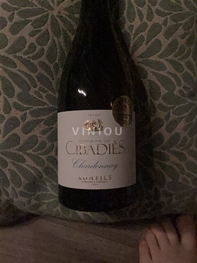 Languedoc và Roussillon Vùng đất Oc Domaine Cibadiès Chardonnay 2024