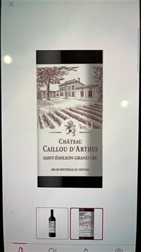 Bordeaux Saint-Émilion Grand Cru Grand Cru Château Caillou Arthus Senza annata
