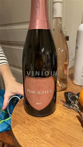 Thung lũng sông Loire Crémant-de-loire Plou & Fils Không niên vụ