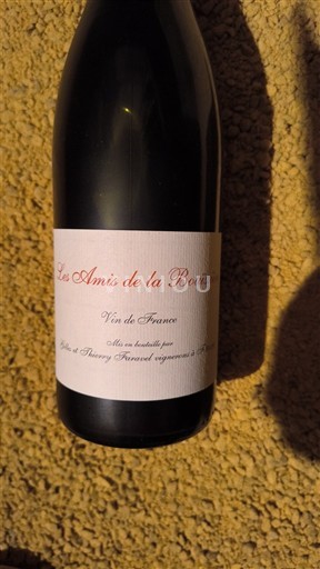 Thung lũng Rhône Không được chỉ định Jean et Thierry Forestel Les Amis de la Bouissière 2023