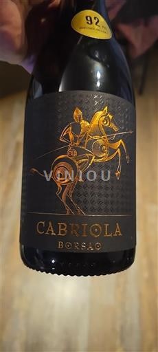 Aragonien Campo de Borja Borsao Cabriola Ikke årgangsbestemt