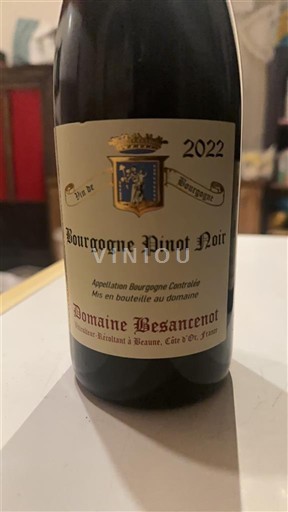 Borgoña Domaine Besancenot 2022