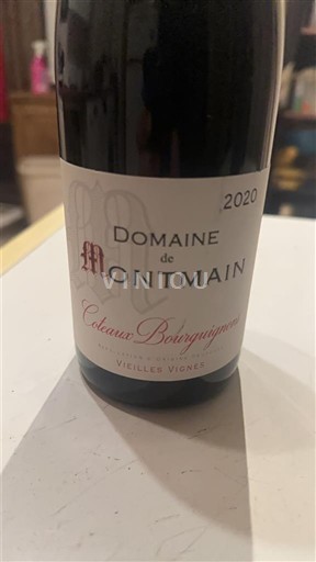 Bourgogne Coteaux bourguignons Domaine Montmain Vieilles Vignes 2020