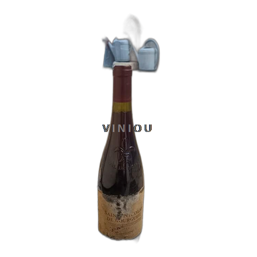 Vin Rouge sec X 2013 France Vallée de la Loire Saint-Nicolas-De-Bourgueil AOC