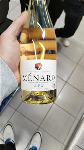 Sudoeste Côtes de Gascogne Domaine Ménard 6.09 Sin añada
