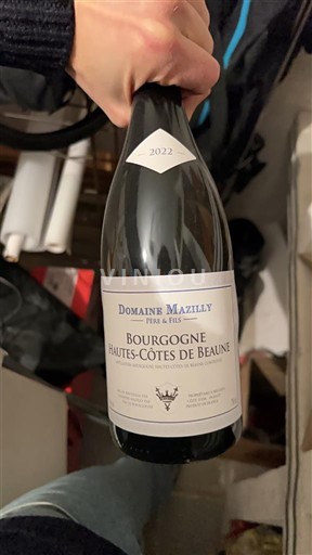 Burgundi E paspecifikuar Domaine Mazilly 2022