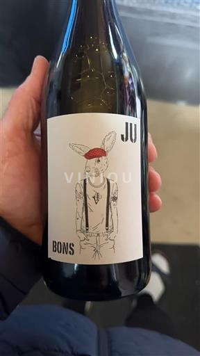 Langvedok Ni doloceno Les Vins Bons Ju Bons Ju 2023