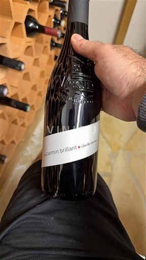 Valle del Rodano Vacqueyras Clos des Cazaux Carmin Brillant 2014