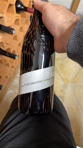 Valle del Rodano Vacqueyras Clos du Caveau Fruit Sauvage 2016